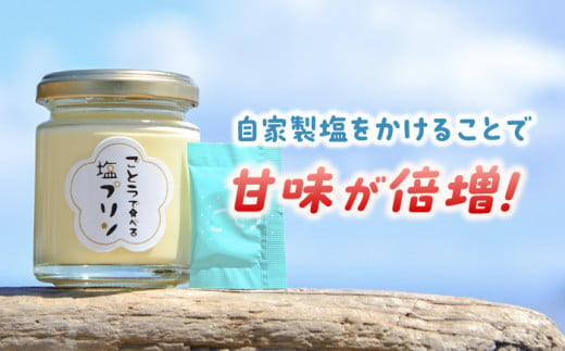 【全12回定期便】 ごとうで食べる 塩プリン 6個 椿スプーン付き / スイーツ おやつ お菓子 塩