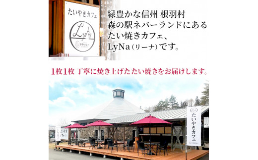 優しいおいしさ たい焼き 2種類の味 8枚セット (つぶあん あんなし) 6000円