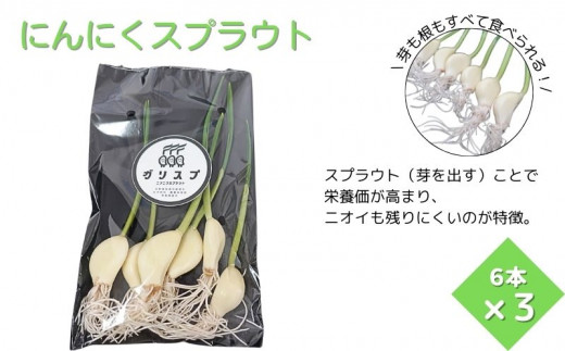 にんにくスプラウト・むきにんにく・切干にんにくの3種セット 野菜 ガーリック スプラウト 栄養 料理 詰め合わせ 