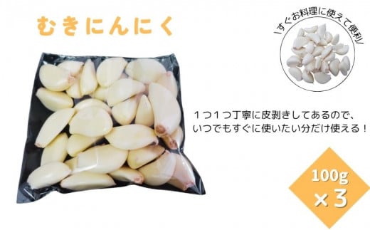 にんにくスプラウト・むきにんにく・切干にんにくの3種セット 野菜 ガーリック スプラウト 栄養 料理 詰め合わせ 