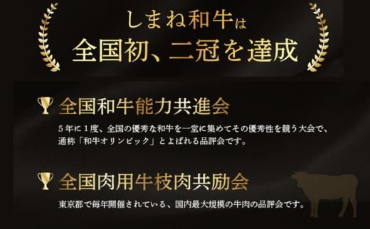 しまね和牛 カレー、シチュー等に 小間切れ 500g 【黒毛和牛  おすすめ 小分け 冷凍  和牛オリンピック 肉質NO.1】