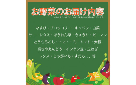 定期便 年6回 野菜 5~7品目 米 5kg 詰め合わせ セット 旬 新鮮 季節の野菜 なすび ブロッコリー キャベツ 白菜 レタス サニーレタス ほうれん草 きゅうり ピーマン とうもろこし トマト ミニトマト 大根 絹さやえんどう インゲン豆 玉ねぎ じゃがいも すだち 阿波市 徳島県