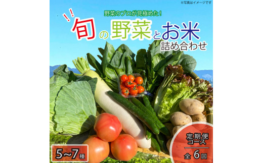 定期便 年6回 野菜 5~7品目 米 5kg 詰め合わせ セット 旬 新鮮 季節の野菜 なすび ブロッコリー キャベツ 白菜 レタス サニーレタス ほうれん草 きゅうり ピーマン とうもろこし トマト ミニトマト 大根 絹さやえんどう インゲン豆 玉ねぎ じゃがいも すだち 阿波市 徳島県