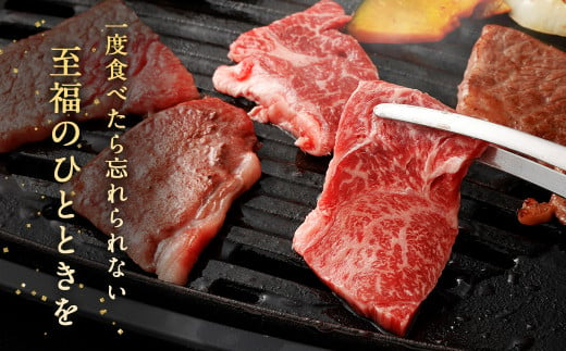 ＜赤身(ウデ)焼肉 350g×2＞