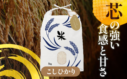 【6月発送】愛知県産 コシヒカリ・あいちのかおり 白米 各5kg 特別栽培米 精米 ご飯 愛西市／戸典オペレーター  [AECT005-6]