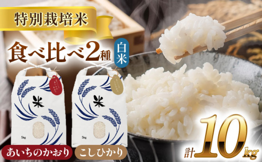 【6月発送】愛知県産 コシヒカリ・あいちのかおり 白米 各5kg 特別栽培米 精米 ご飯 愛西市／戸典オペレーター  [AECT005-6]