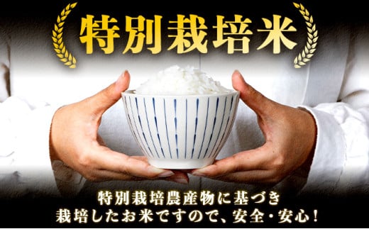 【令和6年産】みよこ米（まっしぐら）10kg（5kg×2袋）【特別栽培米 ご飯 ごはん 新米 米 こめ お米 弁当 白米 精米 国産米 銘柄米 県産米 ブランド米 おにぎり 国産 青森県 七戸町】【02402-0317】