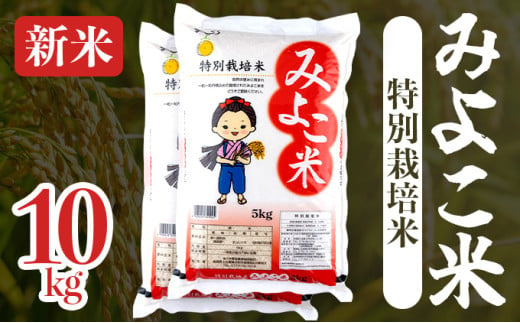 【令和6年産】みよこ米（まっしぐら）10kg（5kg×2袋）【特別栽培米 ご飯 ごはん 新米 米 こめ お米 弁当 白米 精米 国産米 銘柄米 県産米 ブランド米 おにぎり 国産 青森県 七戸町】【02402-0317】