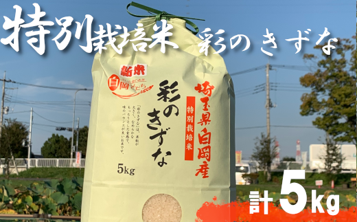 ＜令和6年産＞特別栽培米　彩のきずな　5kg　【11246-0107】