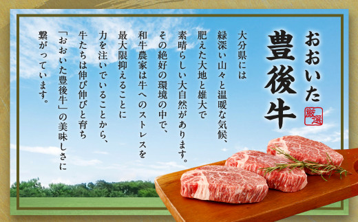 【大分県産】豊後牛 ヒレ ステーキ 450g (150g×3) 牛肉