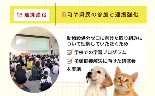 【お礼の品なし】犬猫殺処分ゼロプロジェクト＜30,000円＞長崎県ふるさと納税[42ZZAE004]長崎 長崎の変 動物 犬 猫 いぬ ねこ イヌ ネコ 保護犬 保護猫 支援 応援 チョイス限定 動物愛護 保護 どうぶつ 地域猫 寄付のみ