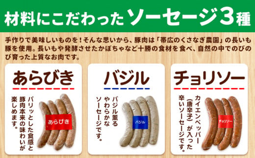 ソーセージ 3種セット 4本入り×3種セット あらびき バジル チョリソー ろうへるんはうすだいさく《45日以内に出荷予定(土日祝除く)》 北海道 本別町 送料無料 ウインナー おつまみ 朝食 ギフト