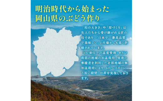 ぶどう 2024年 先行予約 ご家庭用 シャイン マスカット 晴王 約500g×2房 ブドウ 葡萄  岡山県産 国産 フルーツ 果物