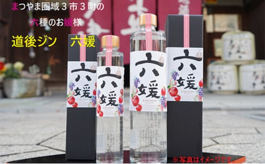 水口酒造 道後ジン「六媛」200ml　クラフトジン スピリッツ 愛媛 [№5310-0127]