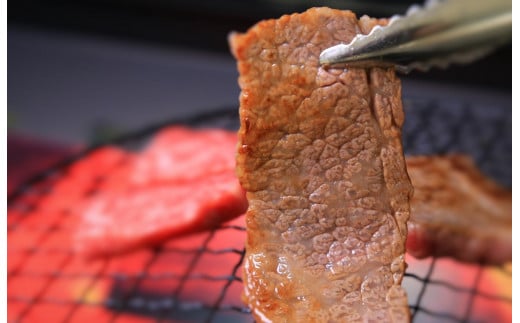 写真は「焼肉用特選モモ」のイメージ写真です。