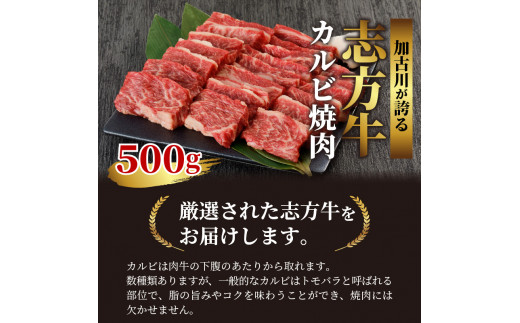 ★選べる配送月★【3月発送】志方牛カルビ焼肉(500g)《 牛肉 牛 和牛 国産 焼肉 おすすめ カルビ 赤身 美味しい バーベキュー 志方牛 プレゼント ギフト 送料無料 お取り寄せ 》【2401A00202-03】