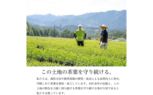 ふくよかな味わい 特上煎茶「空鏡-くうきょう-」 80g 茶蔵園 お茶 緑茶 煎茶 日本茶 茶葉 一番茶  5000円