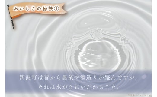 【令和6年産】ひとめぼれ 10kg (5kg×2袋) 【6ヶ月定期】【特別栽培米】 岩手県 紫波町産 (AC029)