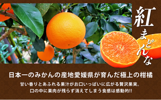  愛媛県産 紅まどんな[50R0986]【高島屋選定品】約2.7kg 青秀 ３L～Mサイズ（10～16玉） 柑橘 みかん 甘い 高級品 正規品 [№5310-0047]