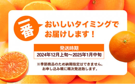  愛媛県産 紅まどんな[50R0986]【高島屋選定品】約2.7kg 青秀 ３L～Mサイズ（10～16玉） 柑橘 みかん 甘い 高級品 正規品 [№5310-0047]