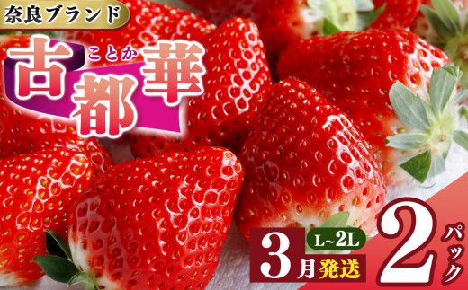 先行予約 いちご 平群の古都華 L～2Lサイズ 計2パック 3月発送 古都華 阪野農園 | 果物 くだもの フルーツ 苺 イチゴ いちご ストロベリー 古都華 ことか 旬の品種 奈良県 平群町