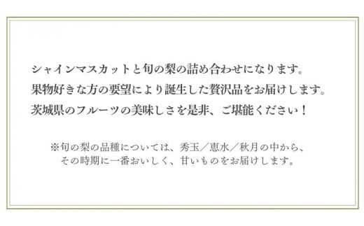 【2025年9月上旬発送開始】 茨城県産 「 シャインマスカット １房 」と「旬の 梨 」 詰め合わせ 約 3kg 【茨城県共通返礼品／常陸太田市】 桧山果樹園 農家直送 桧山果樹園 農家直送 フルーツ  甘い 直送 茨城 限定 ギフト ぶどう シャインマスカット 旬 梨 秀玉 恵水 秋月 詰め合わせ 食べ比べ 果物 [DU011sa]