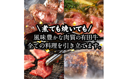 宮崎黒毛和牛すき焼きしゃぶしゃぶローススライス(500g)国産 宮崎県産 黒毛和牛 すき焼き しゃぶしゃぶ ロース 霜降り 和牛【AR004】【(有)有田牧畜産業 食肉加工センター】