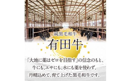 宮崎黒毛和牛すき焼きしゃぶしゃぶローススライス(500g)国産 宮崎県産 黒毛和牛 すき焼き しゃぶしゃぶ ロース 霜降り 和牛【AR004】【(有)有田牧畜産業 食肉加工センター】