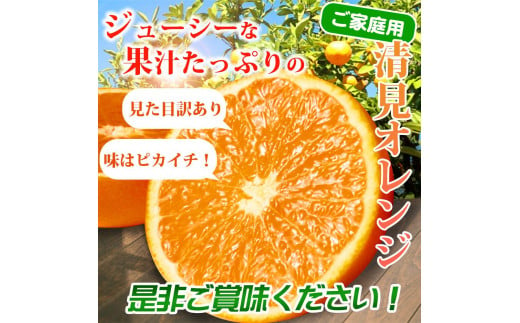 【ご家庭用訳あり】紀州有田産清見オレンジ 約5kg【2025年3月下旬以降発送】【先行予約】【UT132】