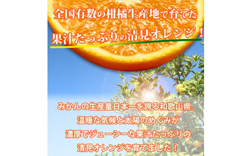 【ご家庭用訳あり】紀州有田産清見オレンジ 約5kg【2025年3月下旬以降発送】【先行予約】【UT132】