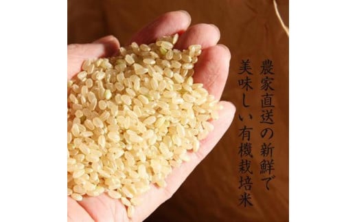 令和6年産新米【有機栽培米】丹波篠山産コシヒカリ　玄米　2kg