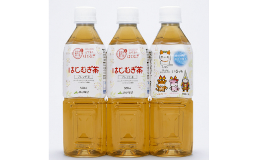 富山はとむぎ茶セット(ペットボトル飲料500ml×24本、ティーバッグ32包×3袋)【1291668】