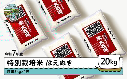 はえぬき　20kg 2020年新米 Amazon.co.jp: 【精米】 山形県産 白米 はえぬき 20kg 令和6年産