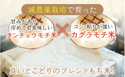 越前大野 杵つきもち「白丸餅」計24個～大野のお米と名水でつきあげた手造りのお餅～ 【※12月15日までの入金確認分は年内配送】保存料 香料 不使用