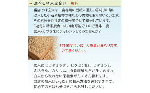 こしひかり 玄米時重量 5kg×2袋×3回 3ヶ月連続 定期便 玄米時重量30kg 分づき米 対応可 真空パック コシヒカリ 米 簡易梱包 エコ梱包 分つき米 分付き米 ぶづきまい 白米 七分づき 7分づき 五分づき 5分づき 三分づき 3分づき 玄米