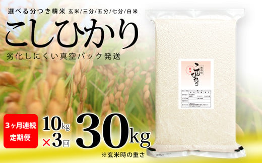 こしひかり 玄米時重量 5kg×2袋×3回 3ヶ月連続 定期便 玄米時重量30kg 分づき米 対応可 真空パック コシヒカリ 米 簡易梱包 エコ梱包 分つき米 分付き米 ぶづきまい 白米 七分づき 7分づき 五分づき 5分づき 三分づき 3分づき 玄米