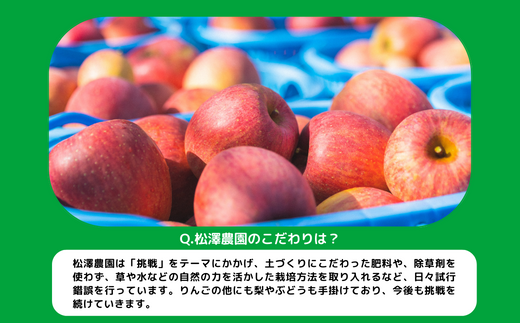 りんご 王林 家庭用 5kg 松澤農園 沖縄県への配送不可 2024年11月中旬頃から2024年12月上旬頃まで順次発送予定 令和6年度収穫分 長野県 飯綱町 [0500]