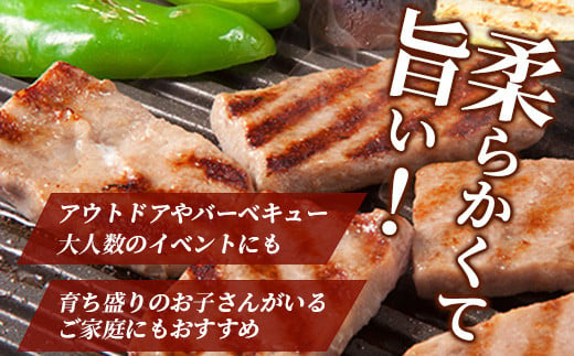 【1月発送】ビーフ&チキンやわらか焼肉(成型肉) 1kg×3袋【合計3kg】柔らかさと溢れる旨さが自慢のお肉 B-613