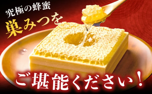 国産巣みつ 300g 蜂蜜 はちみつ ハチミツ