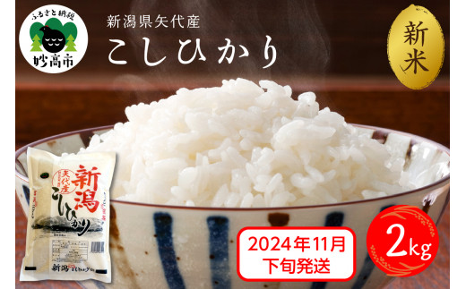 【2024年11月下旬発送】令和6年産 新潟県矢代産コシヒカリ2kg