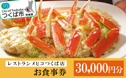 レストランメヒコつくば店お食事券30,000円分【 食事券 レストラン メヒコ フラミンゴ 動物 シーフード カニピラフ お食事券 利用券 茨城県 つくば市 】