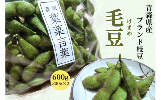 農園 葉菜言葉のおいしい毛豆 600g 令和6年産｜青森県産 枝豆 ブランド枝豆 おつまみ 大粒豆 けまめ えだまめ 2024年産 [0532]