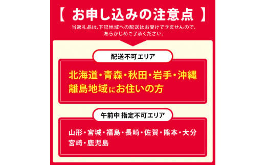 柚庵仕立　焼さばずし（２本） ｜奈良県 名物 柿の葉寿司 寿司 すし さば お祝い お寿司 お土産 正月 お盆 伝統 和食 ごはん 定番 お勧め 詰合せ セット