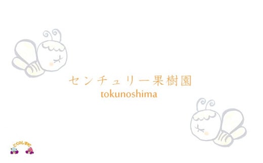 徳之島センチュリー果樹園さんから直送でお届け致します。