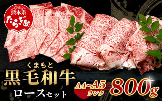 A4・A5 くまもと黒毛和牛 ロース セット 計800g ( すき焼き / 焼肉 各400g ) 