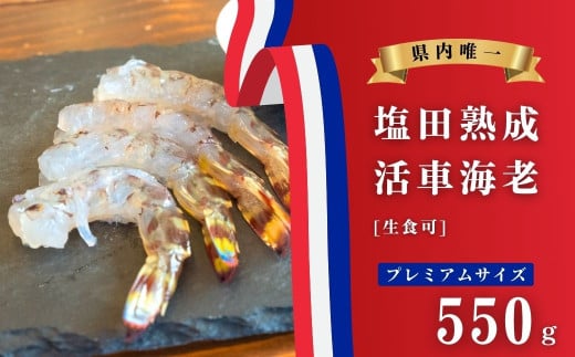 【大崎上島産】塩田育ちの活車海老 プレミアムサイズ約550g（生食）