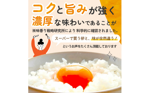 【6ヶ月定期便】計180個 のびのび育ちの平飼い有精卵 30個×6ヶ月 定期 定期便 平飼い 有精卵 たまご 卵 玉子 タマゴ 鶏卵 オムレツ 卵かけご飯 たまご焼き 国産 すき焼き 三重県 多気町 JK-05