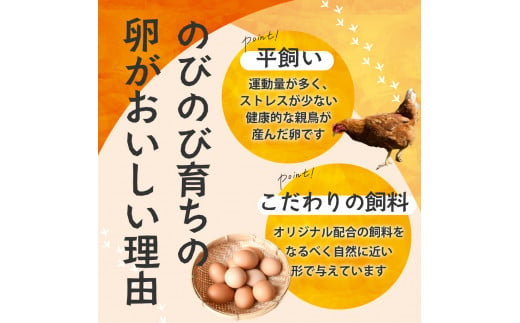 【6ヶ月定期便】計180個 のびのび育ちの平飼い有精卵 30個×6ヶ月 定期 定期便 平飼い 有精卵 たまご 卵 玉子 タマゴ 鶏卵 オムレツ 卵かけご飯 たまご焼き 国産 すき焼き 三重県 多気町 JK-05