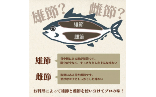 ＜お中元・のし付き＞＜枕崎産＞近海物本枯節2本セット　総合計約600g＜化粧箱入＞ A9-1C【1514808】