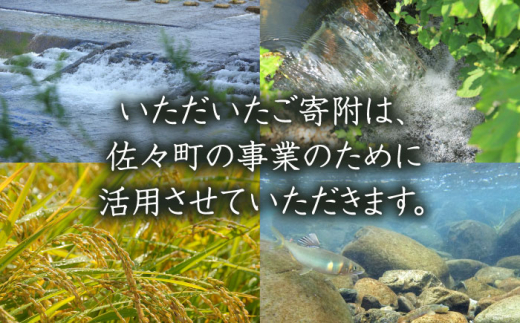 【返礼品なし】長崎県佐々町 ふるさと応援寄附金（4,000円分） [QBT004]